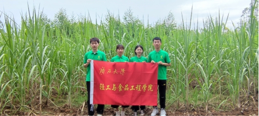 网上赌博平台