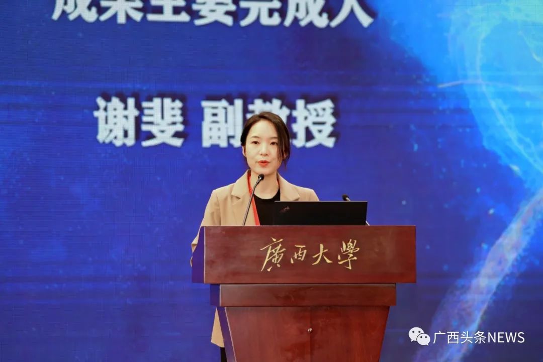 网上赌博平台