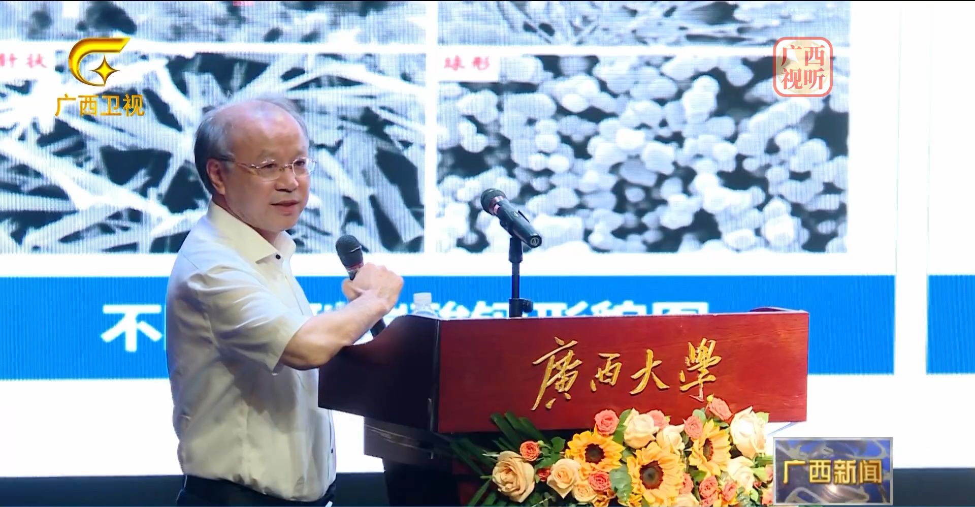网上赌博平台