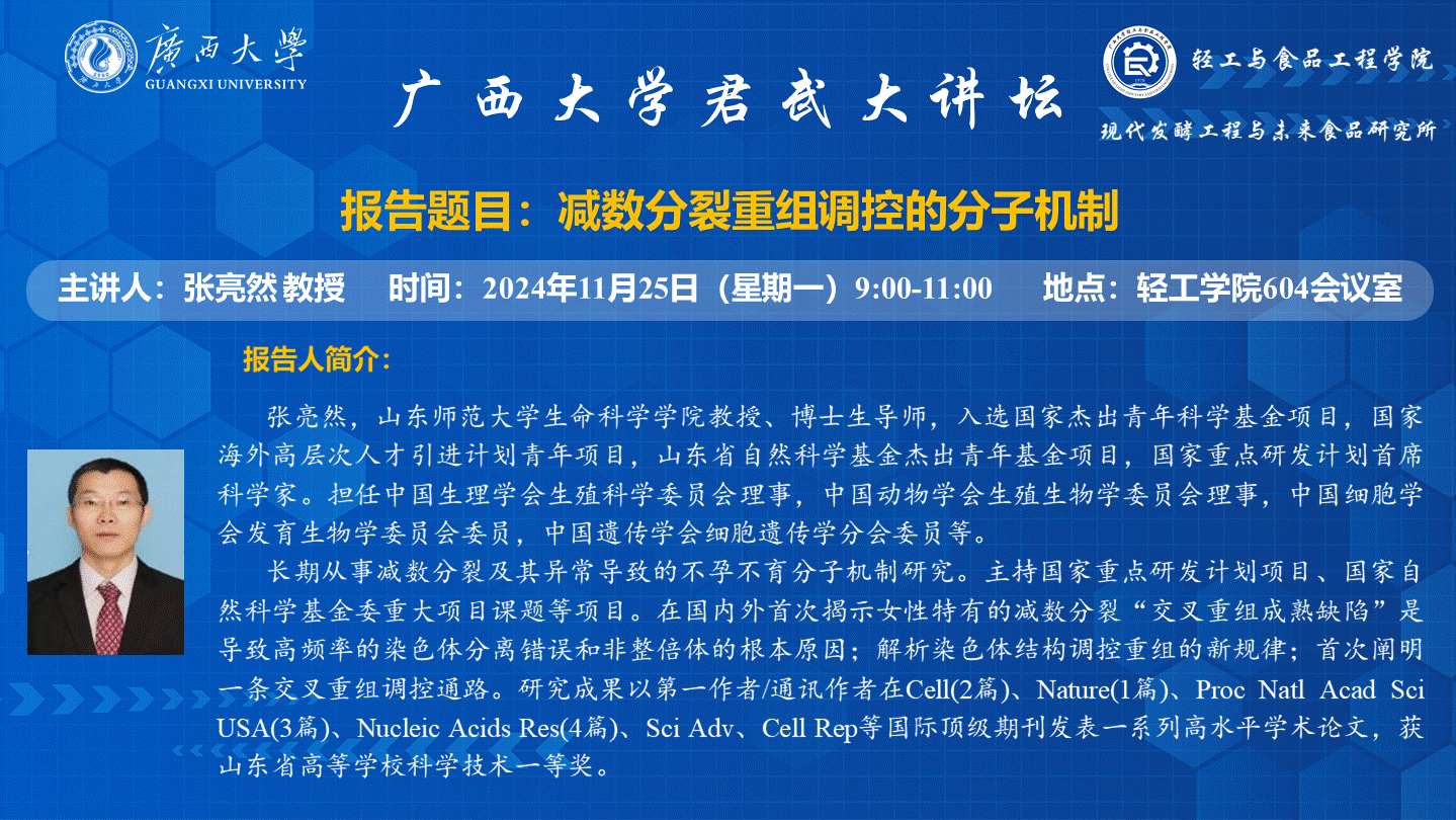 网上赌博平台