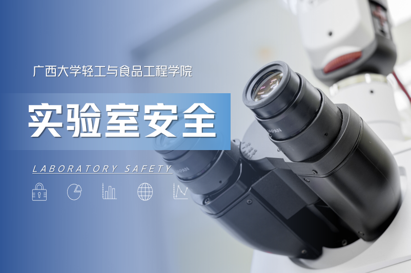 网上赌博平台