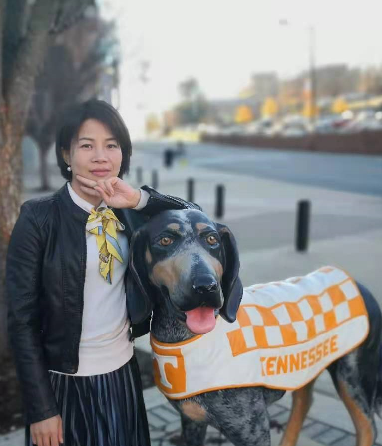 网上赌博平台