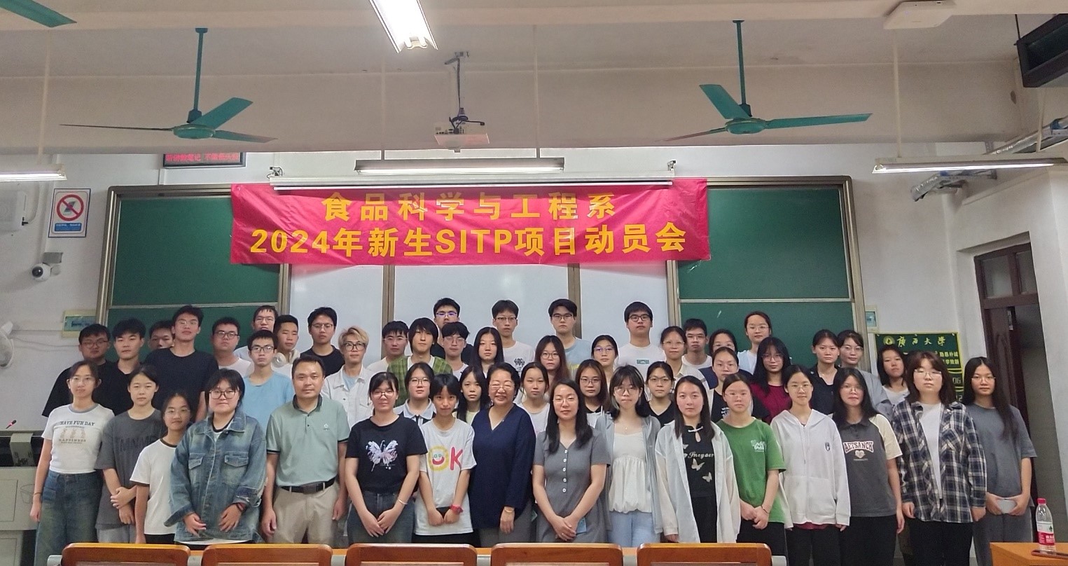 网上赌博平台