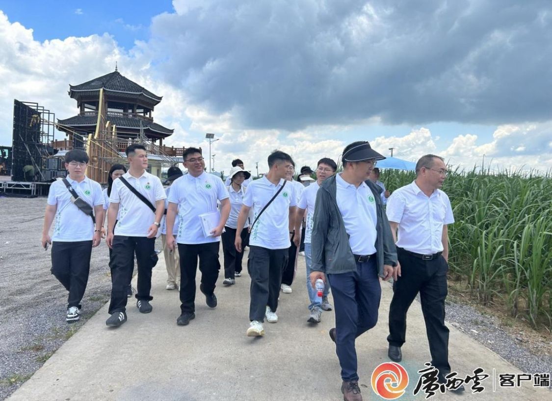 网上赌博平台