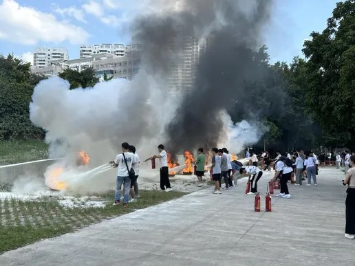 网上赌博平台