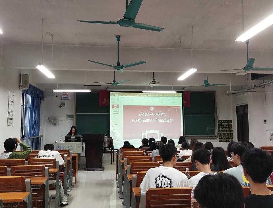 网上赌博平台