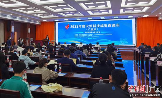 网上赌博平台